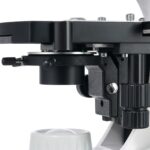 75437_levenhuk-d900t-5-1m-digital-trinocular-microscope_10